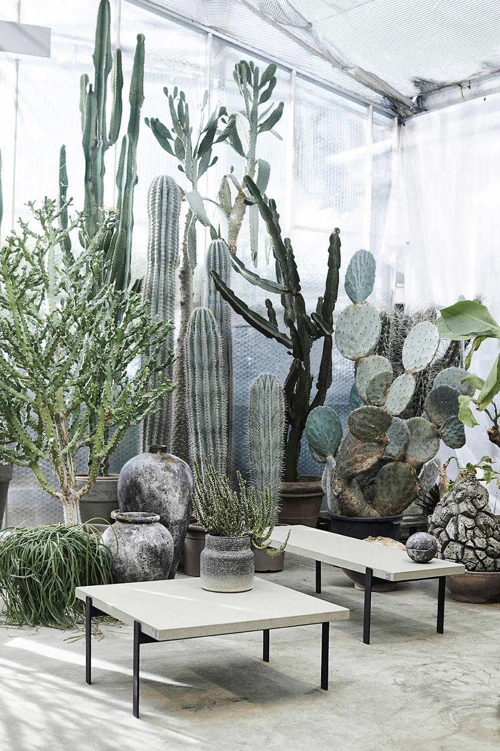 Muubs Echo Bonbonniere, 15 Cm – Bild 5